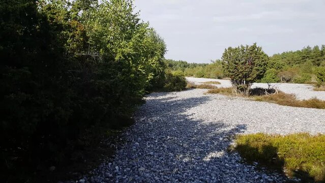 Schmale Heide mit Feuersteinfeldern auf R&uuml;gen   