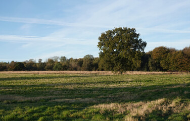 A scenic view  of a rural landscape in the English countryside. 