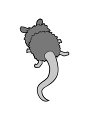 Opossum von hinten 
