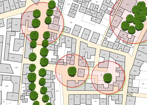Census of singol, group or row trees in cities -  green management and tree mapping concept with imaginary city map with highlighted trees