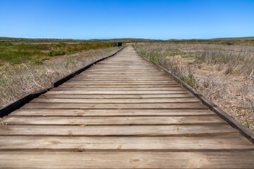 Fototapeta na wymiar Selective focus on a Wooden boardwalk in the dunes in the West Coast National Park, South Africa