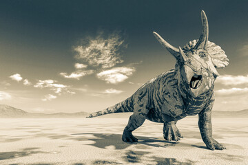 triceratops doing a cool pose on the desert walking after rain © DM7