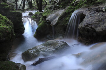 Fototapeta premium Arroyo del 