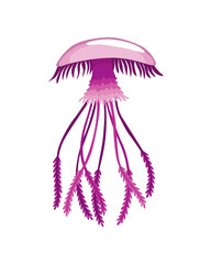 Jellyfish. Sea wildlife or ocean fauna concept. Aquatic underwater or undersea animal. Creative medusa flat icon for web design. Colorful swimming marine creature