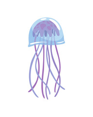 Jellyfish. Sea wildlife or ocean fauna concept. Aquatic underwater or undersea animal. Creative medusa flat icon for web design. Colorful swimming marine creature