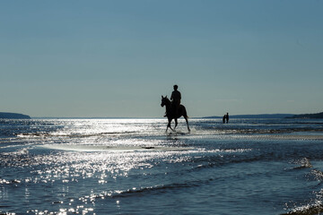 Fototapeta na wymiar a horse with a rider on the Volga, taken with a contour light