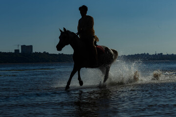 a horse with a rider on the Volga, taken with a contour light