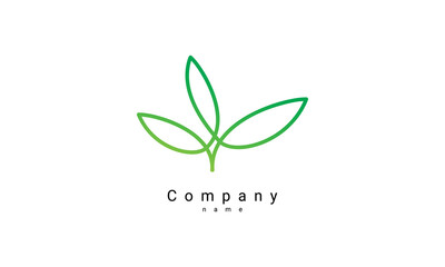 Fototapeta na wymiar leaf logo template