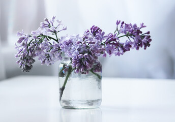 Syringa flowers in a bouquet. Lilac plant. 