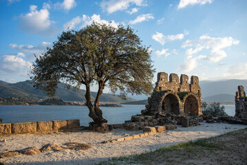 Fototapete bei efototapeten.de bestellen   