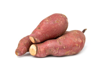 The sweet red potato tubers