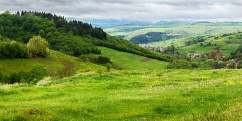 Fototapeta na wymiar countryside landscape on a cloudy day in mountains. village in the distant valley. green nature scenery in spring. grassy meadows and trees on the hills