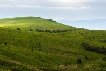 Fototapeta na wymiar green rolling hills of mountain runa. beautiful nature landscape of carpathian mountains. cloudy summer weather