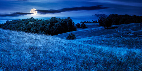beech trees on the hill at night. empty alpine meadow with dry grass in full moon light....