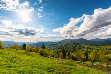 Foto op Plexiglas countryside scenery of carpathian mountains. beautiful green landscape on a sunny afternoon in spring. trees on the grassy hills and fluffy clouds on the sky © Pellinni