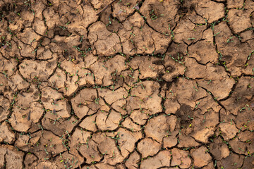 Dry Cracked Soil Texture Background