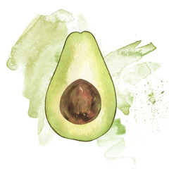 Watercolor avocado. Food botanical hand drawn illustration. vegetable isolated on white background. Clipart object. For card, poster, banner, restaurant menu, kitchen textile.