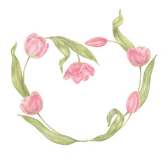 Watercolor hand drawn banner with spring tender flowers heart frame - pink tulip on the white background. For textile, wallpaper, wrapping paper, march, easter, card, linen.