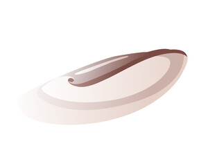 Sea shell. Colorful tropical shell underwater icon. Cartoon marine life. Seashell summer symbol concept