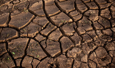 Dry Cracked Soil Texture Background