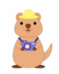 Cute cartoon Smile Quokka and camera. Draw illustration in color