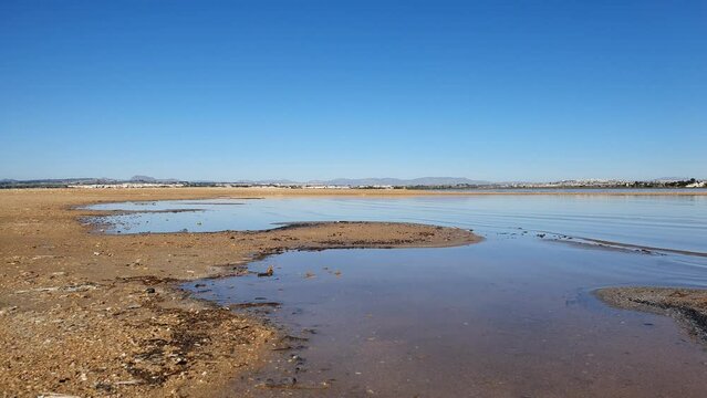 Vega Baja del Segura - Torrevieja - Parque Natural Salinas de la Mata y Torrevieja y su entorno.