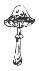 tattoo, mushroom mushroom toadstool, graphics, contour, black, pattern for halloween, 
tattoo