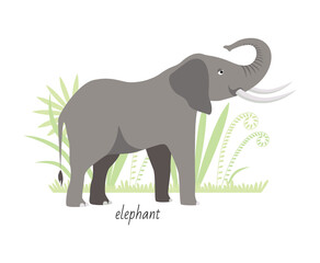 Animal elephant isolated on white background. Tropical plants. Vector flat illustration