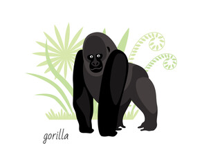 Animal gorilla isolated on white background. Tropical plants. Vector flat illustration