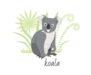 Animal koala isolated on white background. Tropical plants. Vector flat illustration