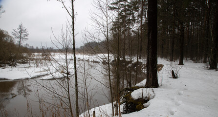 Spring landscape. River in early spring. Thaw. It's a nasty day