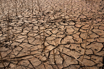 Dry Cracked Soil Texture Background