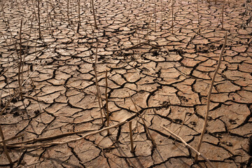Dry Cracked Soil Texture Background