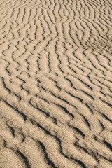 Wind traces on the surface of a sand dune. Dark and light stripes. Surface of a sand dune. Close-up look. Selective focus.