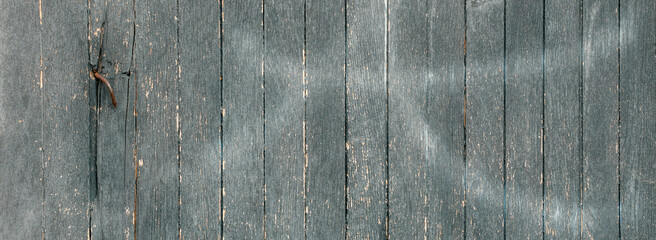 Fototapeta Naturalne Tło starych obdartych z farby drzwi z drewnianych desek. Detal zakrzywionego skorodowanego gwoździa. Panorama
 obraz