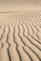 Wind traces on the surface of a sand dune. Dark and light stripes. Surface of a sand dune. Close-up look. Selective focus.