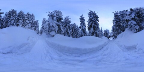 Snowy Forest in Winter HDRI Panorama