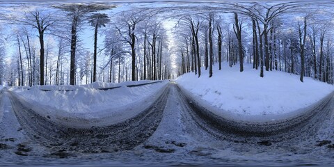 Winter road in the forest covered with snow, HDRI Panorama