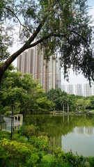 Tin Shui Wai parque, em Hong Kong, vista do lago e grande edificio residencial ao fundo