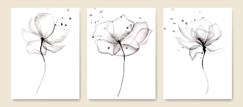 Black and white art background with transparent x-ray rose flowers. Minimalistic botanical watercolor poster set for packaging design, interior decor, wallpaper
