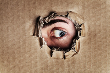 What is on the other side. Closeup portrait of an eye looking through a ripped hole in a piece of cardboard.