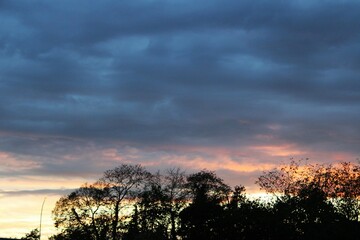 Fototapeta na wymiar Ombre des arbres au couché de soleil - Trees shadow and cloudy sky at sunset 
