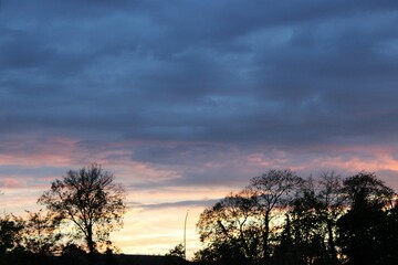 Ombre des arbres au couché de soleil - Trees shadow and cloudy sky at sunset 