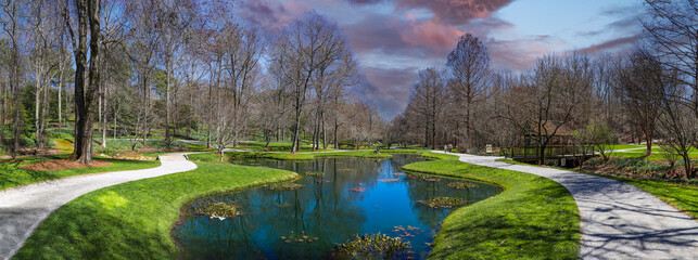a panoramic shot of a still green pond surrounded by lush green grass, trees and plants with bare...