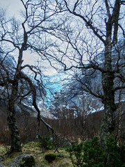 Briksdal glacier in Norway during winter