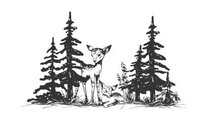 two deer in a forest clearing in the pines 

two deer an adult and a child in a forest glade in a pine forest, vector outline drawing, black silhouette on a white background, background, print, vintag