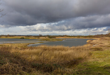 North Cave Wetlands in East Yorkshire, an important nature reserve for many species of birds and mammal.  A cold day in winter with stormy sky lakes, and golden reedbeds. Horizontal.  Copy space.