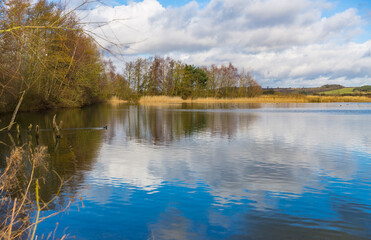 North Cave Wetlands, a nature reserve in East Yorkshire and home to many species of birds and mammals. A clear day in Winter with golden reeds and reflections of the sky in the lake.  Copy Space.  