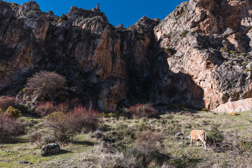 Vertical walls of the mountains on the route of the Monachil river, in Los Cahorros, Granada, Spain.