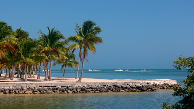Wonderful Caribbean Beach - a paradise in the sun - travel photography